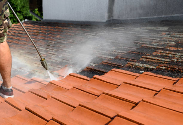 Best Commercial Building Pressure Washing  in Shorewood, MN